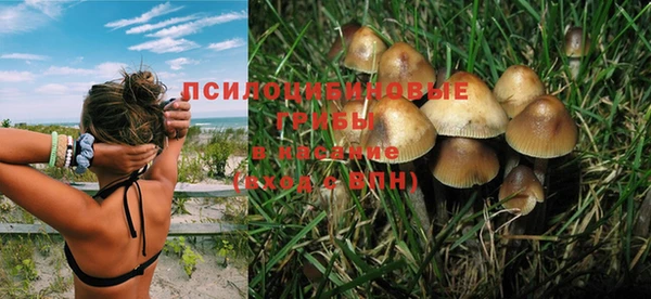 не бодяженный Коряжма