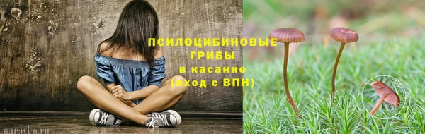 ALPHA PVP Костерёво