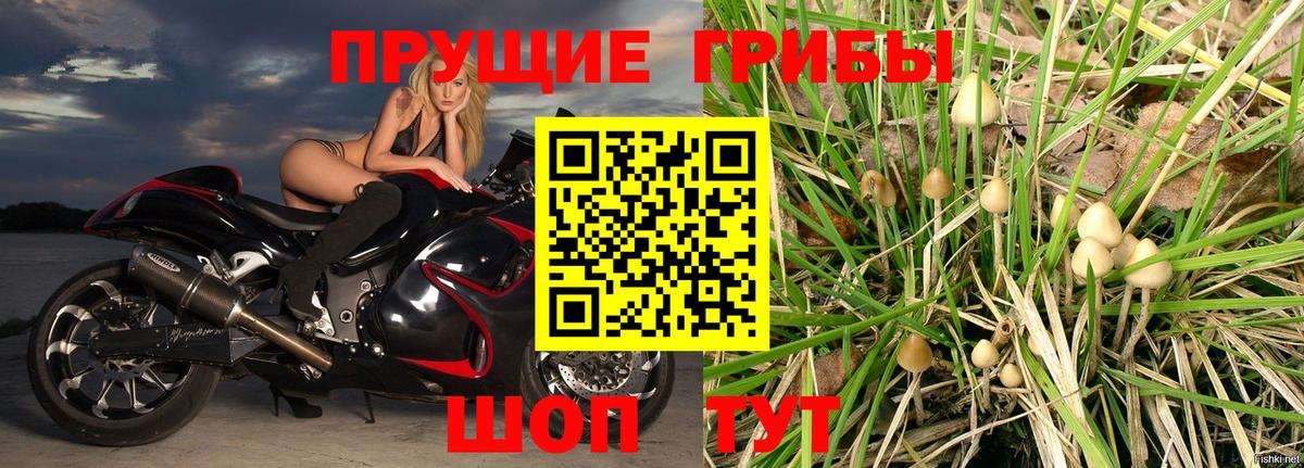 Псилоцибиновые грибы мицелий  Вход с VPN  Казань 