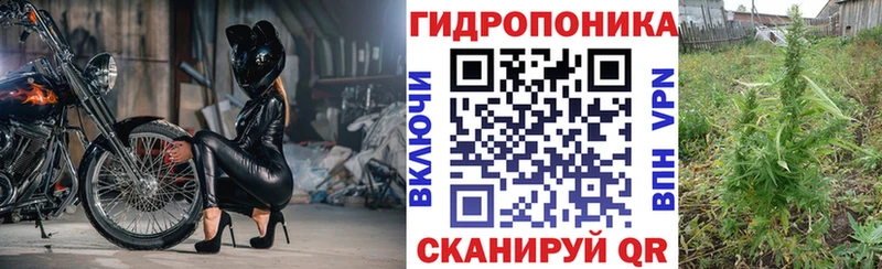 Шишки марихуана тримм  купить закладку  Казань 
